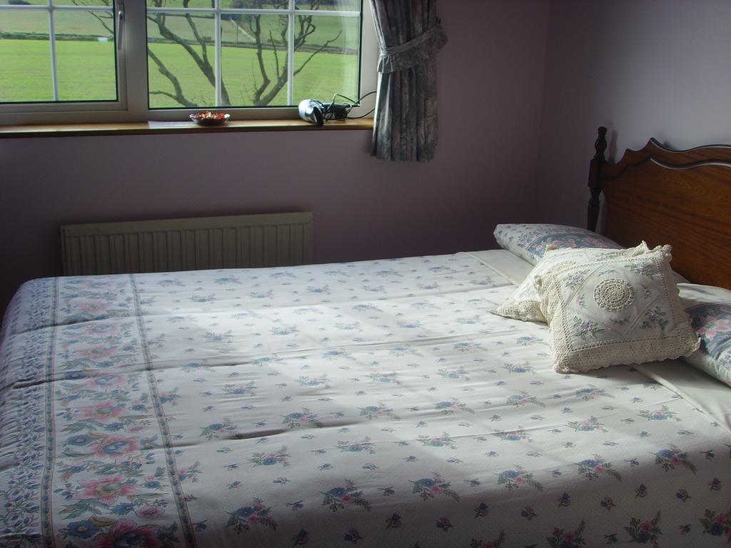 Springfield House B&B Clonakilty Cameră foto